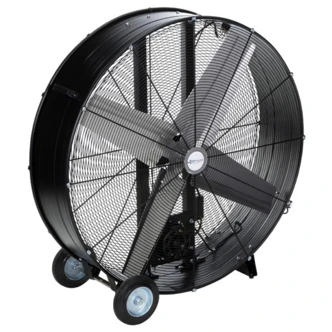 Fans