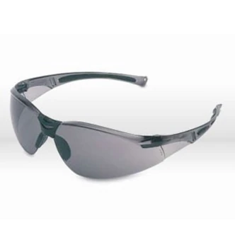 Honeywell A801 Safety Glasses, Gray Lens, Hardcoat, ANSI Z87+, 10/CS