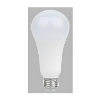Satco LED Bulb, 20 W, 125W Equivalent, Warm White, 120-277V, 6/CS