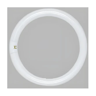 Satco Circline Fluorescent Light Bulb, T9, 22 W, 4100K Cool White, 4-Pin Base, Frost Finish