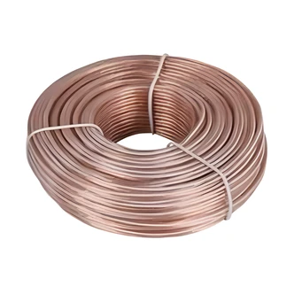 AmerTac Zenith Speaker Wire, 100 ft, 18 Gauge, Polarity Identified, Insulated