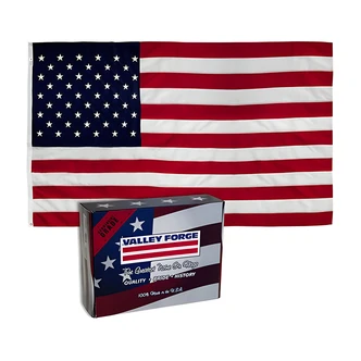 Valley Forge U.S. Flag, Nylon, 6 ft x 10 ft, Brass Grommets, Sewn Stripes, Embroidered Stars