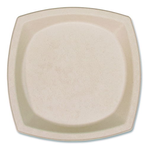 Compostable Molded Fiber Dinnerware, ProPlanet Seal, Plate, 10 x 10, Tan, 500/Carton