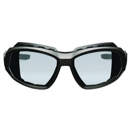 EGO56085