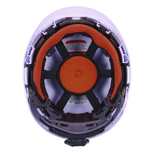 EGO60260