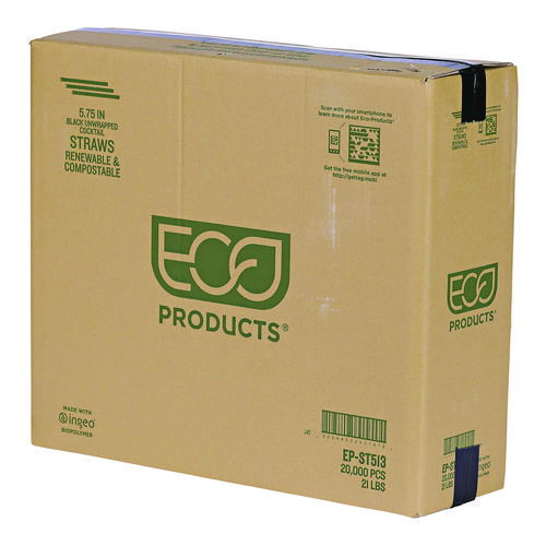 ECOEPST513