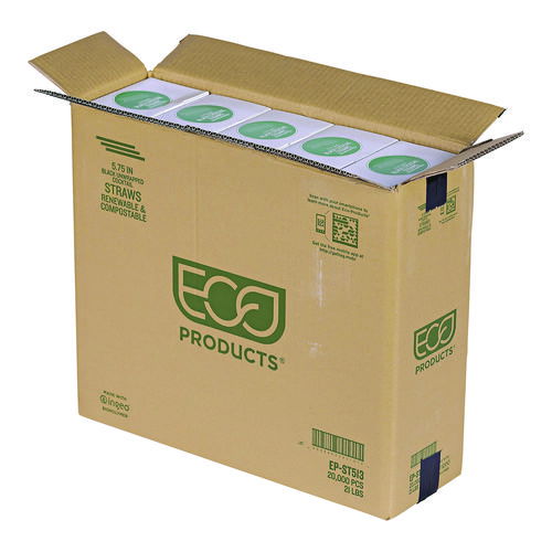 ECOEPST513