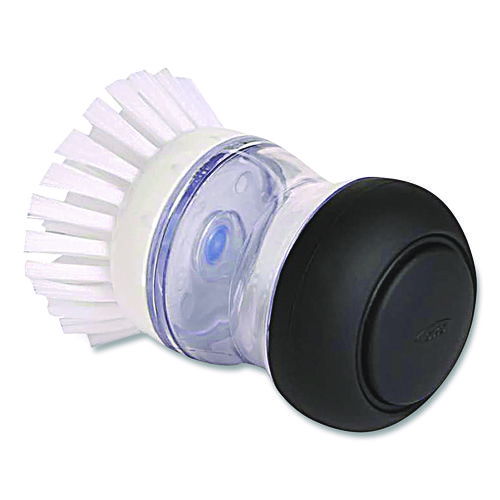 OXO36481