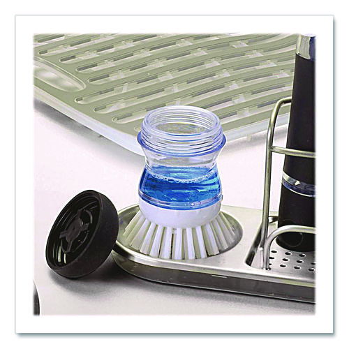 OXO36481