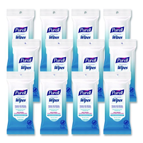 Hand Sanitizing Wipes, Clean Refreshing Scent, White, 20 Wipes/Pack, 12 Packs/Carton