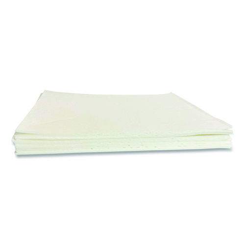 Mighty Mat Heavy Absorbent Pads, 1.8 gal, 16" x 20", 10/Box