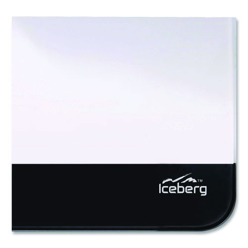 ICE31110