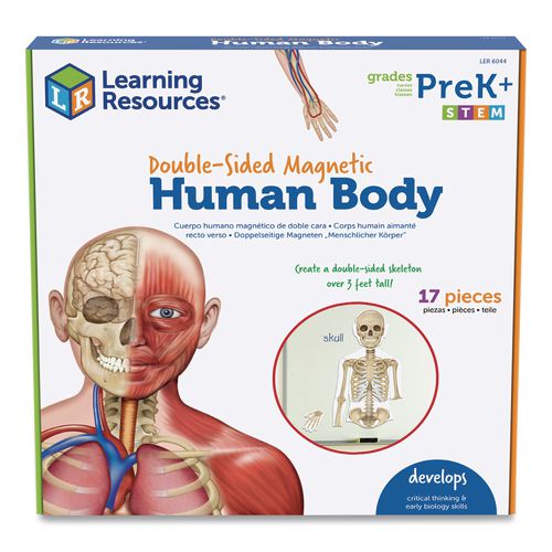 Double-Sided Magnetic Human Body, Grades K to 5, English/Spanish, Assorted Colors, 17 Pieces