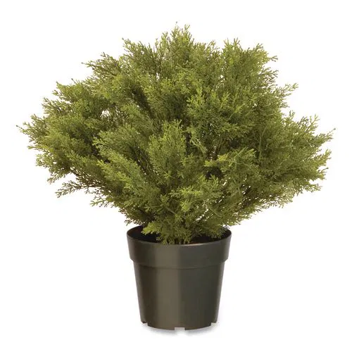 Globe Juniper Topiary Tree, 20" x 28" x 20", Green Tree, Green Pot