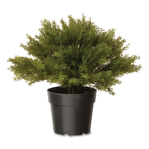 Artificial Globe Juniper, 15" x 15" x 15", Green Plant, Green Pot