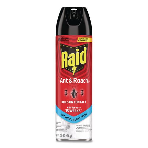 Ant and Roach Killer, 17.5 oz Aerosol Spray, Outdoor Fresh