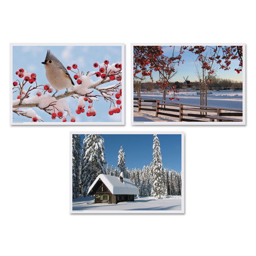 Winter Multi-Pack Placemats, 10 x 14, Three Different Scenes, 1,000/Carton