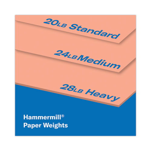 HAM103119