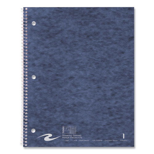 ROA11098CS