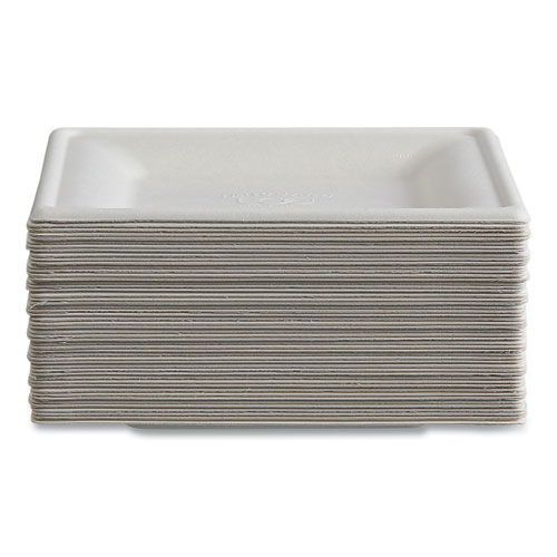 ECOEPP021NFA