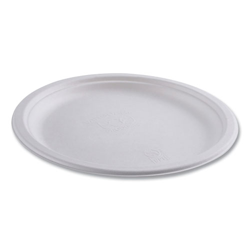 ECOEPP005NFA