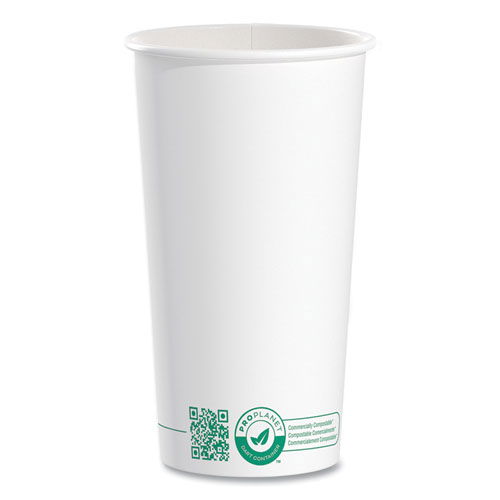 Compostable Paper Hot Cups, 20 oz, White/Green, 600/Carton