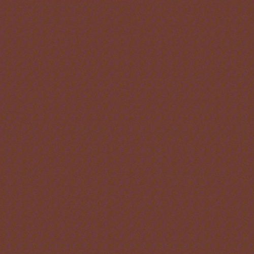 RSTV2169838