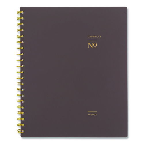 Workstyle Weekly/Monthly Planner, 11 x 9.38, Brown/Gold Cover, 12-Month (Jan to Dec): 2025
