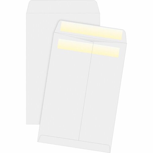 Large Format / Catalog Envelopes