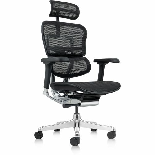 Eurotech ErgoHuman Gen2 Executive All-Mesh Chair - Black Seat Color - Mesh Seat Material - Black Back Color - Mesh Back Material - Black Frame Color - Fiber Polymer Composite (FPC) Frame Material - 5-star Base - Black - Mesh - Armrest - 1 Each