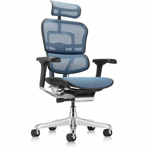 Eurotech ErgoHuman Chair, Executive All-Mesh, Headrest, Synchro-Tilt, Seat Slider, Height-Width-Depth Adjustable Padded Arms, FPC Frame, Black