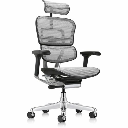 Eurotech Chair, ErgoHuman Gen2 Executive All-Mesh, Gray Frame, Headrest, Adjustable Arms, Synchro-Tilt, Lumbar Support