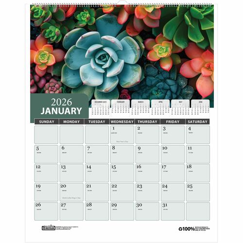 House of Doolittle Recycled Succulent & Cacti Wall Calendar - Monthly - 12 Month - January 2026 to December 2026 - 1 Month Single Page Layout - 11" x 14" Sheet Size - 2" x 1.40" Block - Wire Bound - Wall Mount - Multi - Paper - Monthly Calendar, Holiday L