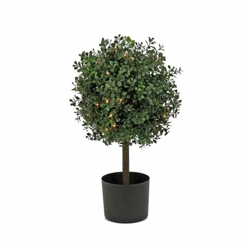 National Tree, Artificial Boxwood Topiary Tree, Indoor/Outdoor, 11" x 11" x 24", 50 Clear Lights, 150 Branch Tips, Black Pot, UV-Stabilized