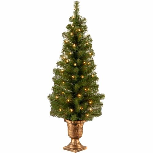 National Tree Christmas Tree, Entrance, Montclair Spruce, 4 ft, Pre-Strung 50 Clear LED Lights, Hinged Branches, Urn Base, Indoor/Outdoor