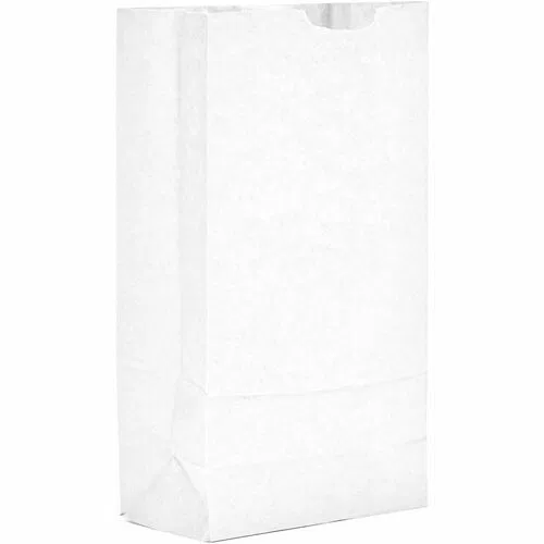 AJM #10 White Paper Grocery Bags - #10 - Bleached Kraft - Paper - Grocery, Supplies - 500 / Carton