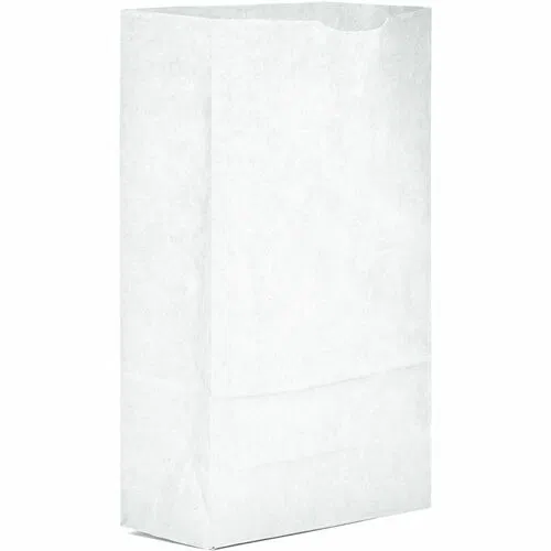 AJM #6 White Paper Grocery Bags - #6 - Bleached Kraft - Paper - Grocery, Supplies - Recycled - 500 / Carton