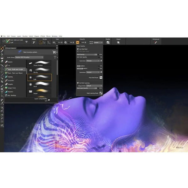 Corel Painter 2023 - Box Pack - 1 User - Academic - Image Editing - DVD-ROM - English, French - Intel-based Mac, PC - Windows, Mac OS Supported