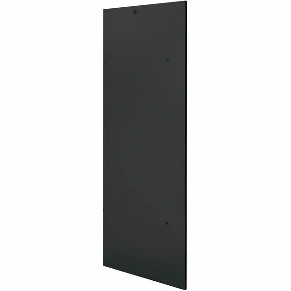 NetShelter VX 42U Seismic Left Side Panel Black - Black - 75.6" Height x 31.9" Width x 0.9" Depth