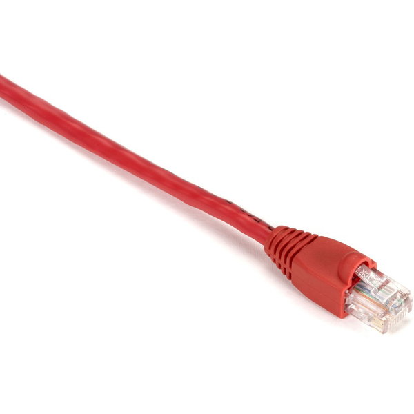 Black Box Gigabase Cat. 5E UTP Patch Cable - RJ-45 Male - RJ-45 Male - 1ft - Red