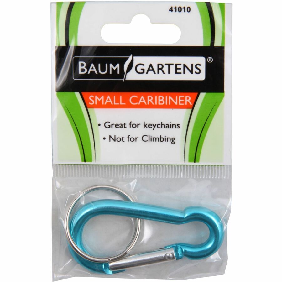 BAU41010