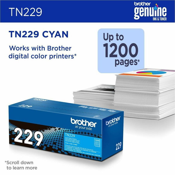 BRTTN229C