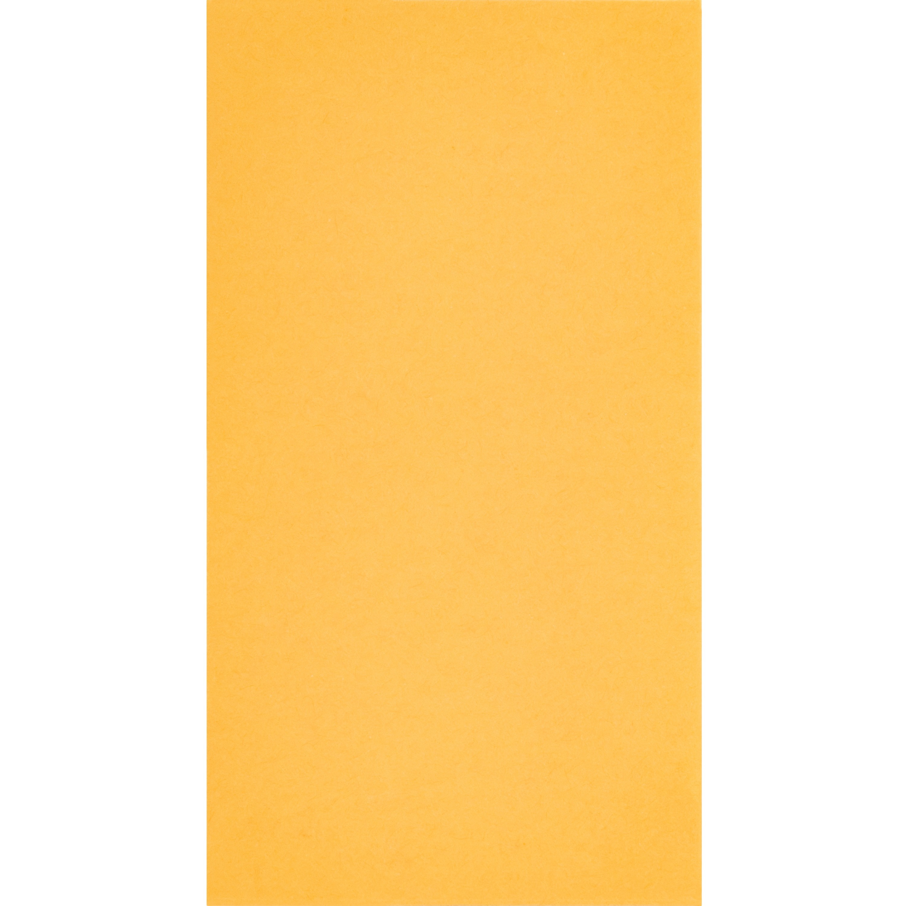 BSN04446