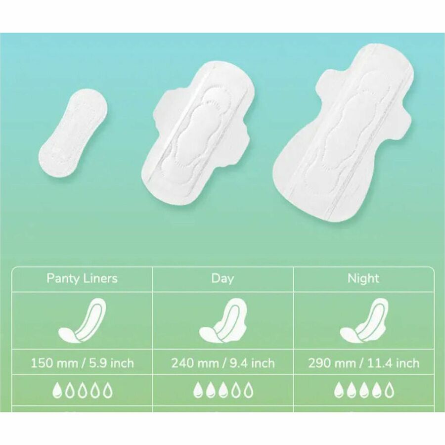TTBPADS500N