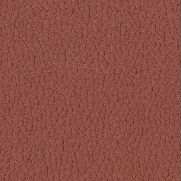LLR86200106