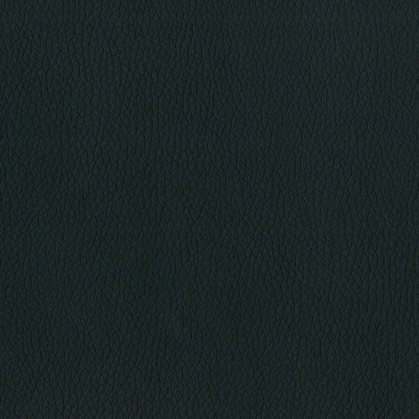 LLR86205076