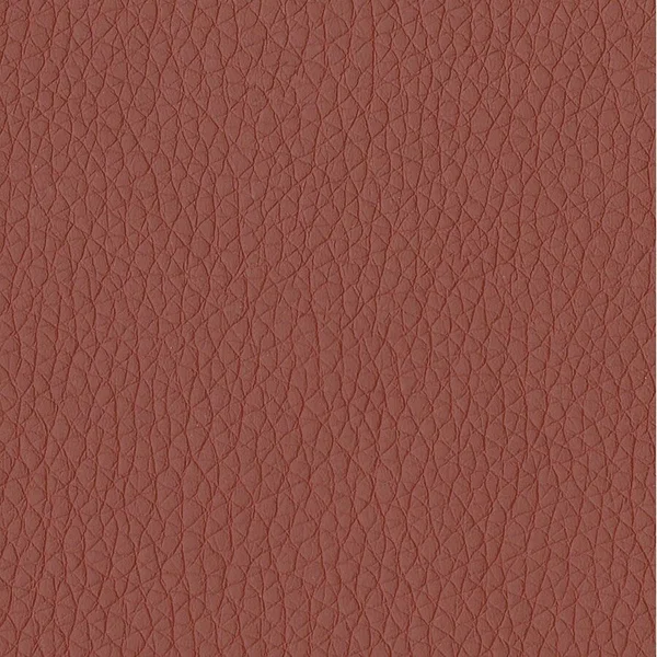 EUTMTHB94106