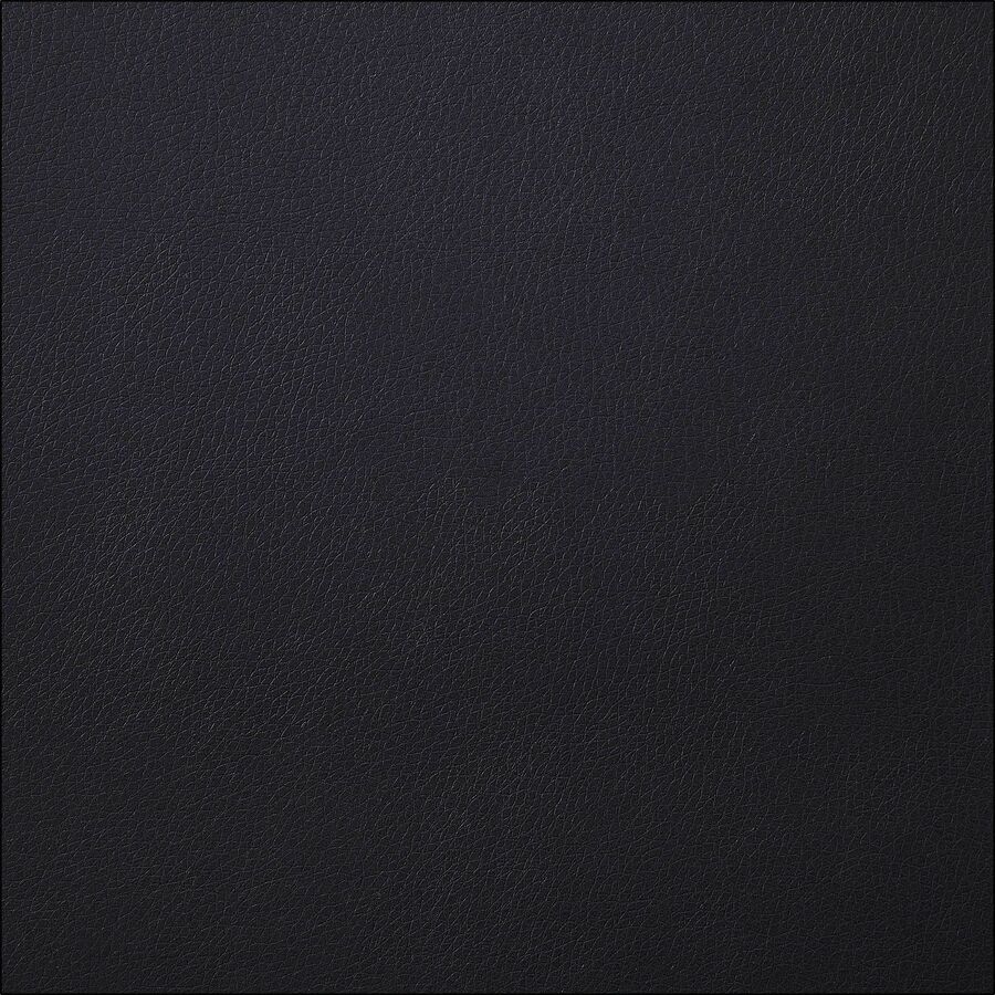 LLR84595
