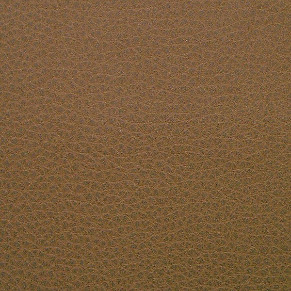 LLR6200028