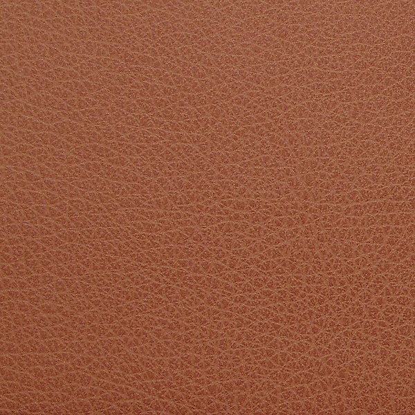 LLR6200126